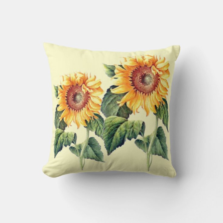 Country Sunflowers Vintage Summer Botanical Throw Pillow Zazzle