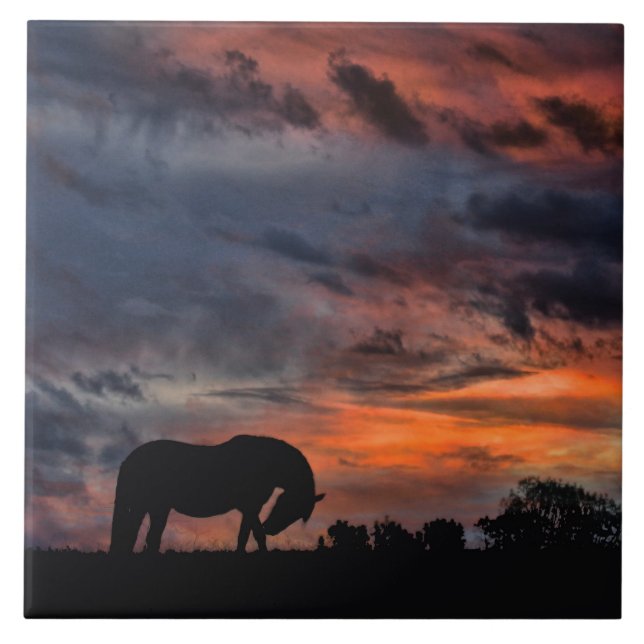 Country Sunrise Ceramic Tile (Front)