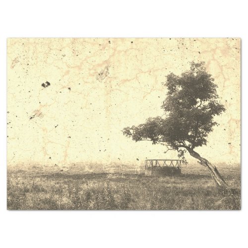 Country Tree Rustic Vintage Antique Beige Farm Tissue Paper