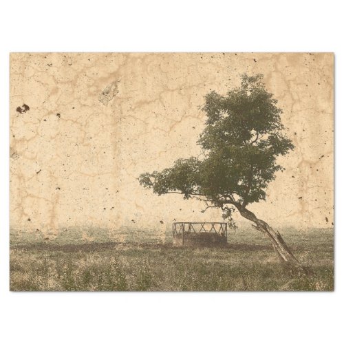 Country Tree Rustic Vintage Antique Beige Farm Tissue Paper