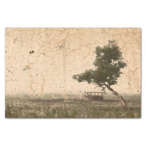 Country Tree Rustic Vintage Antique Beige Farm Tissue Paper