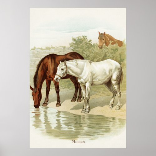 Country Vintage horses home office Poster