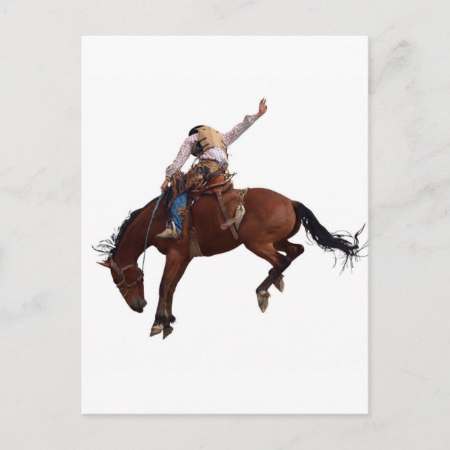 Country Western horseback Riding Rodeo Cowboy Postcard (Front)