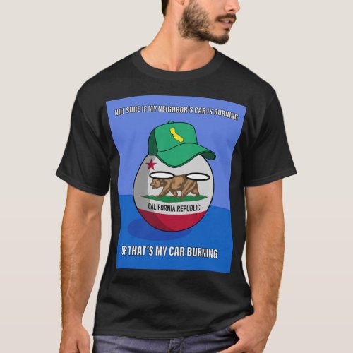 Countryball Dubious California    T_Shirt