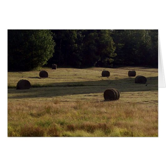 Countryside Bails of Hay Cards (Front Horizontal)