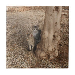 COUNTRYSIDE CATS FOR NATURE LOVERS CERAMIC TILE