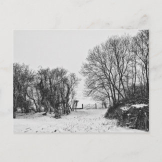 Countryside in the Snow Postcard