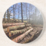 Countryside logs.. coaster