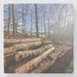 Countryside logs.. stone coaster