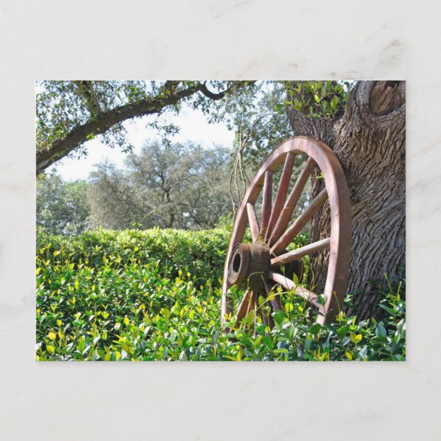 Countryside scene postcard (Front)