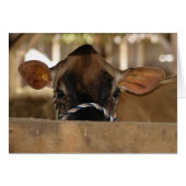 County Fair card (Front Horizontal)