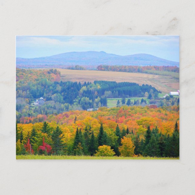 County Farmland Postcard (Front)