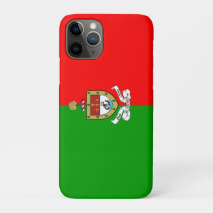 County Mayo iPhone 11 Pro Case