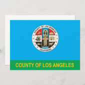 County of Los Angeles flag (Front/Back)