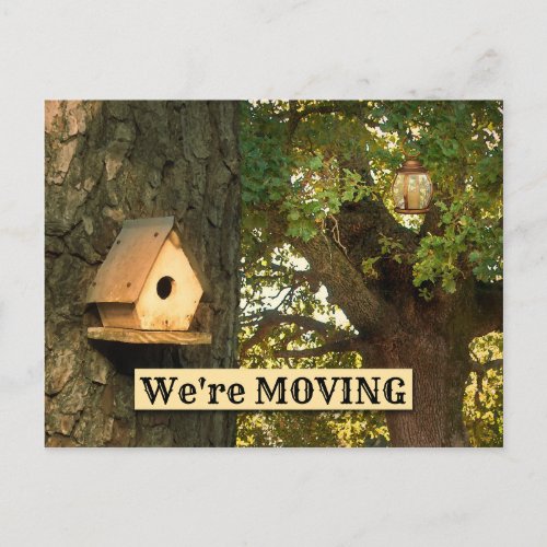 Couple Bird House Moving New Address Postcard
