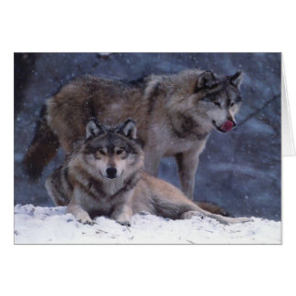 Couple Cards