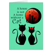 Couple Cats in the home (Front)