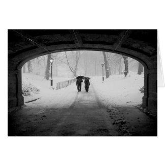 Couple in Snowstorm, Central Park Cards