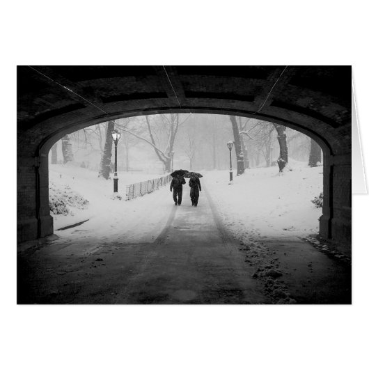 Couple in Snowstorm, Central Park Cards (Front Horizontal)
