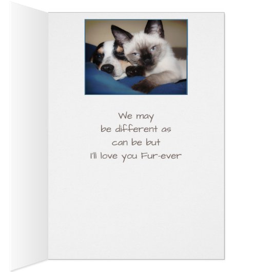 Couple Love FOREVER OR Fur-ever Anniversary pets (Inside (Right))