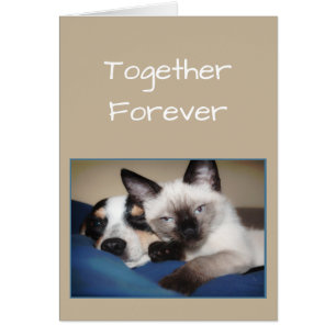 Couple Love FOREVER OR Fur-ever Dog & Cat Humor Cards