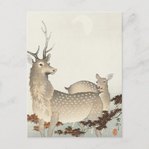 Couple of Deers Painting by Ohara Koson Postcard