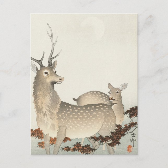 Couple of Deers Painting by Ohara Koson Postcard (Front)