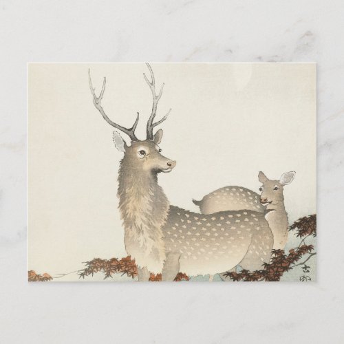 Couple of deers Vintage Postcard