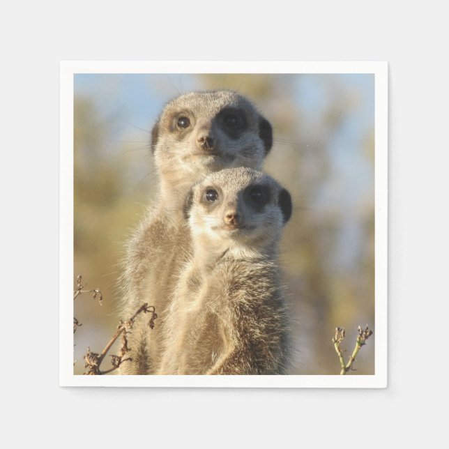 Couple of Meerkats Photo Napkins (Front)