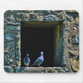 Couple of pigeons in the castle window mouse pad