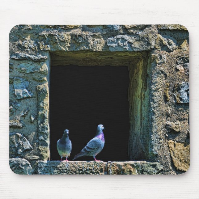 Couple of pigeons in the castle window mouse pad (Front)