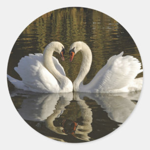 Couple of Swans Classic Round Sticker