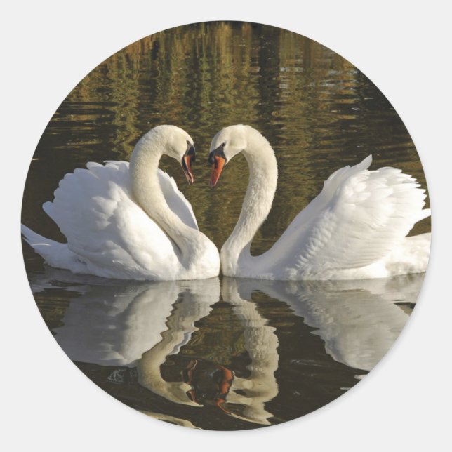 Couple of Swans Classic Round Sticker (Front)