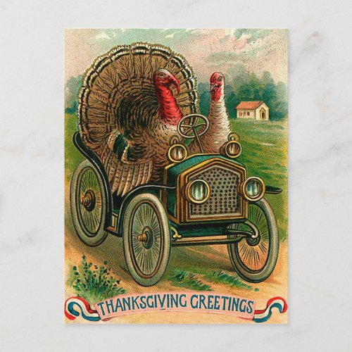 Couple of turkeys on a classic car vintage funny postcard