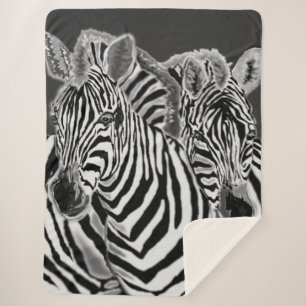 Couple Zebra Sherpa Blanket