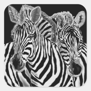 Couple Zebra Sticker