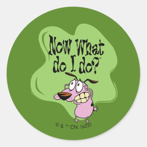 Courage the Cowardly Dog  Now What Do I Do Classic Round Sticker