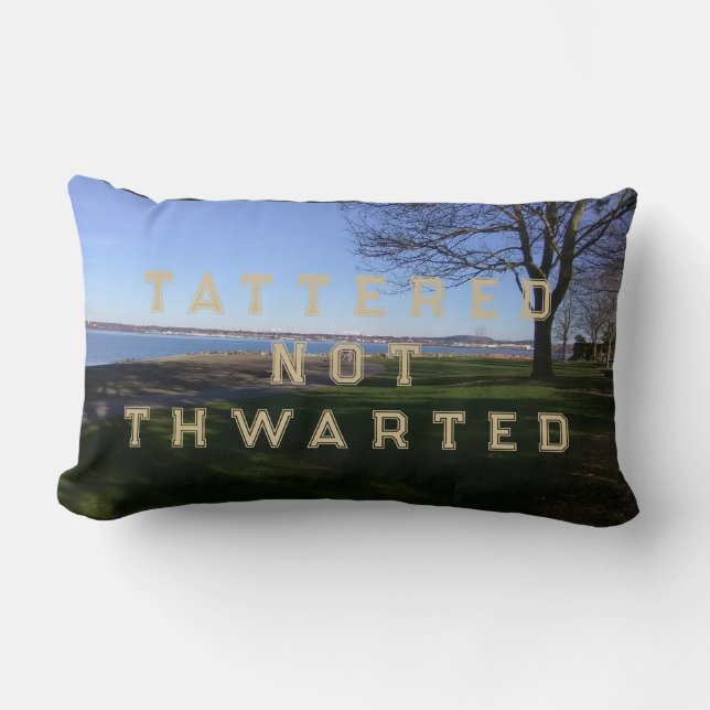 Courage Throw Pillow (Front)