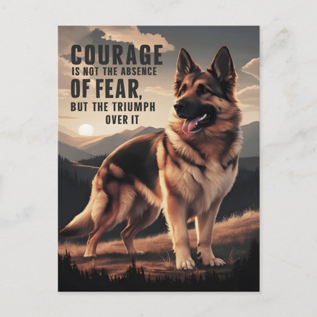 Courageous German Shepherd at Sunset Postcard (Front)