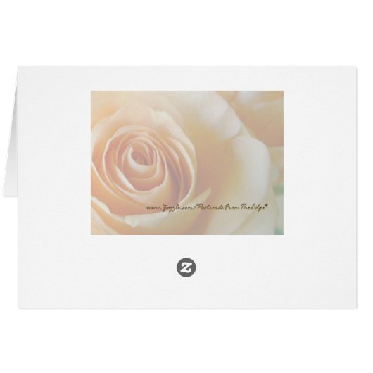 Course of Love 1 Rose (Back Horizontal)