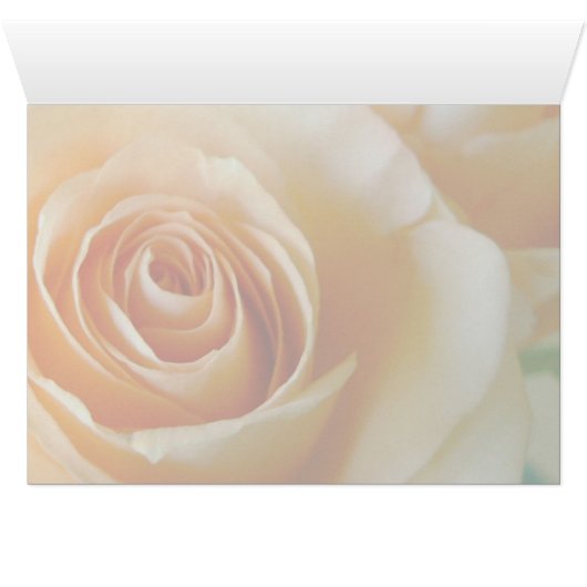 Course of Love 1 Rose (Inside Horizontal (Bottom))