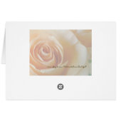 Course of Love 1 Rose Cards (Back Horizontal)
