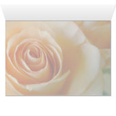 Course of Love 1 Rose Cards (Inside Horizontal (Bottom))