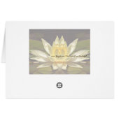 Course of Love 2 (Back Horizontal)