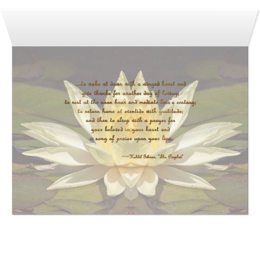 Course of Love 2 (Inside Horizontal (Bottom))