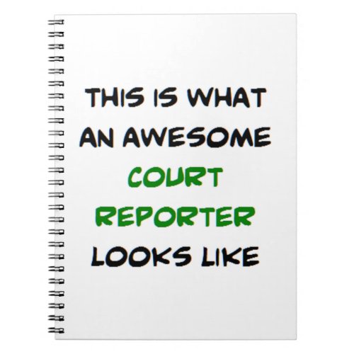 court reporter awesome notebook