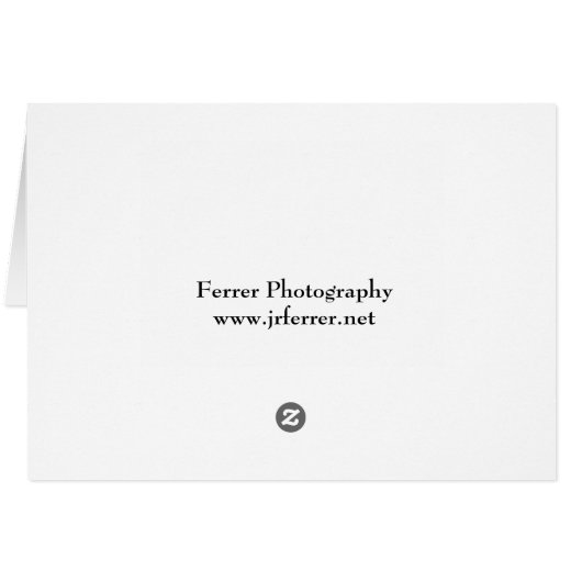 Courthouse Facade and Plaza in Minneapolis (Back Horizontal)