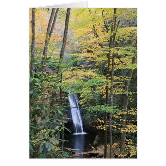 Courthouse Falls Cards (Front)