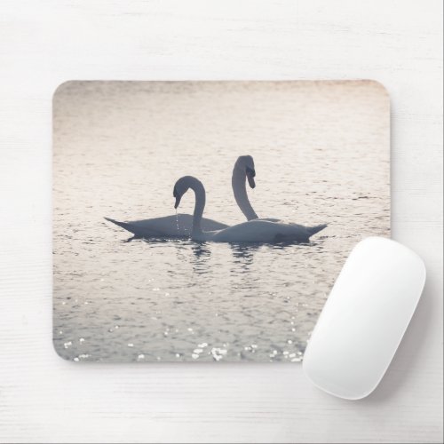 Courting Swans Nature Photo Mouse Pad