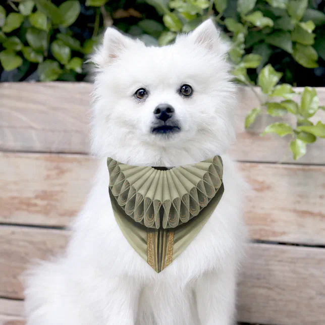 Courtly Dog Ruff Elegant Elizabethan  Pet Bandana Collar